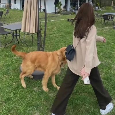 理性和感性